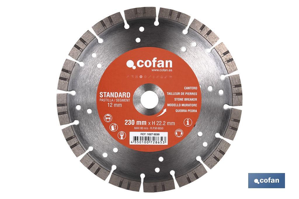DISCO DIAMANTE CANTERO STANDARD H-10mm, 115mm (PACK: 1 UDS)